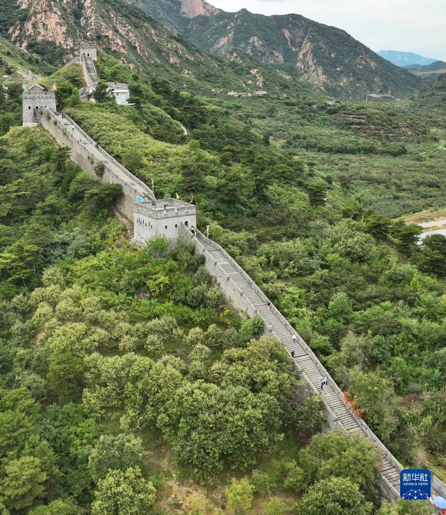 优发国际下载地址